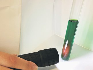 科学の「め」＜９０＞<br />緑の植物が赤く見える？