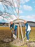 設立２０年記念し城南中央公園に桜植樹　南砺のＮＰＯ法人「クラブＪｏｙ」