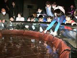 発光ショーを楽しむ来場者