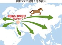 ＜ダニ博士の徒然草＞３３　五箇公一<br />馬と人間の関わり