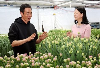 紺野美沙子×とやまの情熱人（１）<br />チューリップ切り花生産「センティア」社長　伊藤仁嗣さん（４４）砺波市