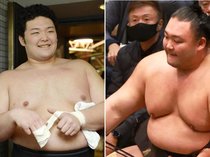 初土俵１０年 朝乃山のデータを探る