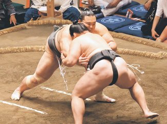 朝乃山、観察眼光る　大相撲夏場所１２日目