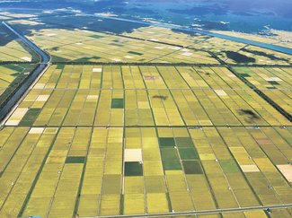 令和米騒動～農のあした＜１９＞第２部／生産調整（減反）６「大潟村の県人〈上〉」<br />大規模農業の夢破れ