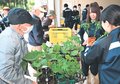 氷見高生、心込め育てた苗販売　住民でにぎわう
