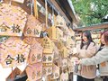 合格願う絵馬ずらり　高岡の射水神社
