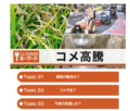 ニュースがわかるキーワード<br />第３１回「コメ高騰」を追加