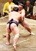 朝乃山、妙義龍寄り切る　初場所６日目