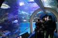魚津水族館