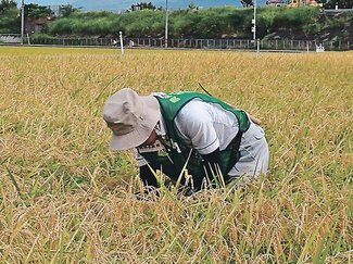 令和米騒動～農のあした＜５＞第１部／背景と余波４「作況指数」<br />実態反映？揺らぐ信頼