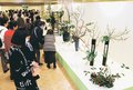 春の息吹、華やか　高岡で北日本いけばな展後期展