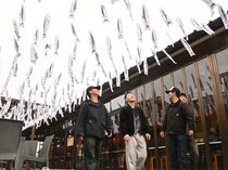 春の味覚 知って味わって　ひみ番屋街、３００匹の「イワシのぼり」で彩る