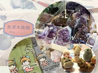 鉱物、化石、昭和・平成レトロ…沼多き「魚津水族館　真珠コーナー」（下）