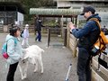 春の開園、動物がお出迎え　富山市ファミリーパーク