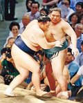 朝乃山、攻め万全９勝目　名古屋場所１１日目