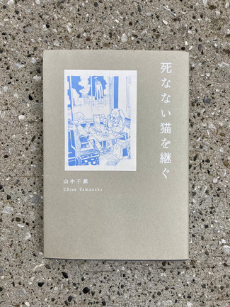 世知辛い社会ではない世界へと旅立つために/綾門優季 <br />『死なない猫を継ぐ』山中千瀬