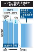 ガソリン暫定税率廃止、課題残る