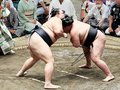 朝乃山連勝、星五分に　大相撲秋場所８日目