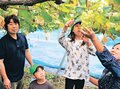 大きいブドウ採れた！　魚津・ほんごうこども園児が収穫体験