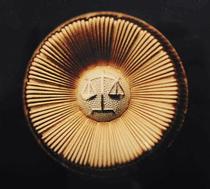 成年後見の弁護士報酬巡り提訴