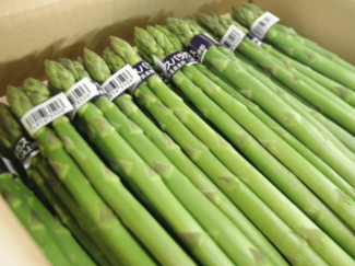 栄養逃さず食べるには？アスパラガスのおすすめ調理法【成長期の勝てる！体づくり(88)】