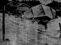 ７月２５日の歴史 <br />県内に集中豪雨　神通大橋流失　１９４８年