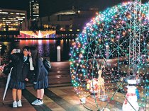 ＜イルミネーション　まち彩る＞<br />一足早くＸマス気分　富岩運河環水公園（富山）