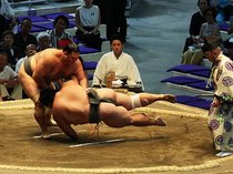 朝乃山勝ち越し、再十両へ前進　大相撲名古屋場所１１日目