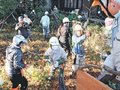 屋敷林の手入れ任せて　砺波・苗加、支援隊７５人が剪定