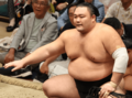 頑張れ朝乃山 三役・大関復帰の展望は