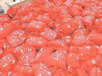 初売り準備着々　ファボーレ