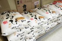 コメ５キロ、４２３５円