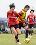 なでしこジャパン、２１日豪州戦