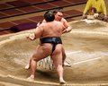 朝乃山、かど番脱出へ王手　初場所１０日目
