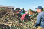 軽トラックから剪定枝を降ろす市民と協力する砺波高校の生徒＝砺波市の高道グラウンド
