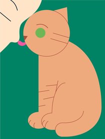 ＜迷子の散歩道＞５　穂村弘さんへ室井滋より<br />お題【猫のこと】コロが発する信号は…