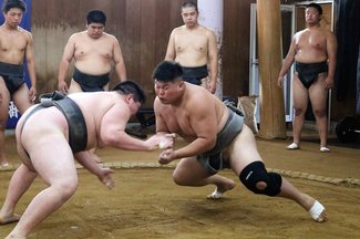 土俵で頂点目指す水島礼煌（高岡向陵高３年）　インターハイに参戦　趣味のスケボも軽やかに