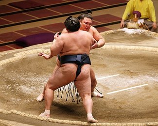 朝乃山、かど番脱出へ王手　初場所１０日目