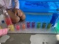 色水遊び🍹
