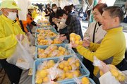 生ユズを買い求める来場者＝庄川水記念公園