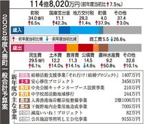 人口減対策の支援拡充、産前産後や在宅育児　入善町２５年度予算案
