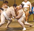 朝乃山「攻める気持ちを」　出稽古で鶴竜に６戦全敗　