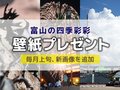 壁紙プレゼント（２０２４年８月）
