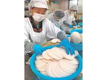 冬の味覚 愛情込めて　富山・婦中でカブの千枚漬け作り