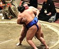 朝乃山 危なげなく４勝目　初場所７日目