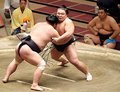 朝乃山、万全の寄り切りで勝ち越し　春場所１１日目