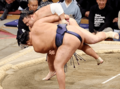 朝乃山、豊昇龍に屈し３連敗　大相撲九州場所１１日目