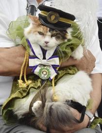 ２代目ネコ駅長死ぬ