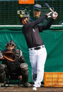 今宮、１４年連続開幕先発へ