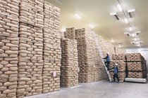 「遅い」中高年で半数超　全国世論調査 備蓄米放出、政府対応 不満浮き彫り